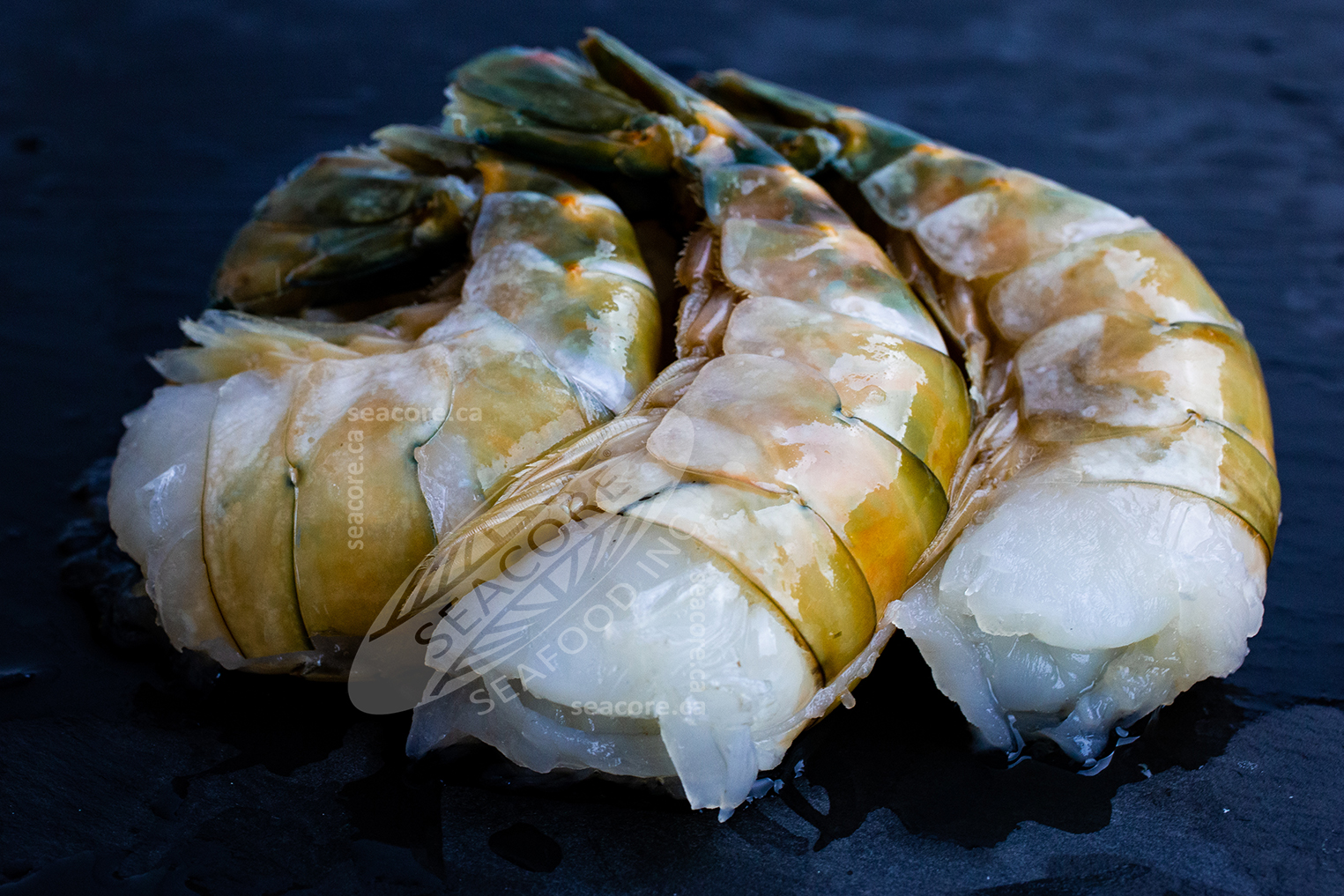 Green Tiger Shrimp Freshwater Shrimp Seacore Seafood Products
